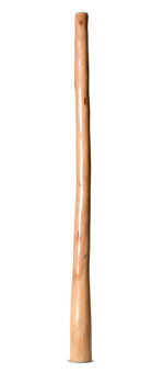 Earl Clements Flared Didgeridoo (EC512)